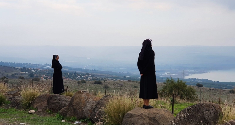 the Sisters of the Holy Family of Nazareth