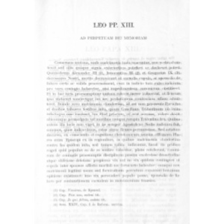 Leon XIII - Matrimonio 1892 [La]