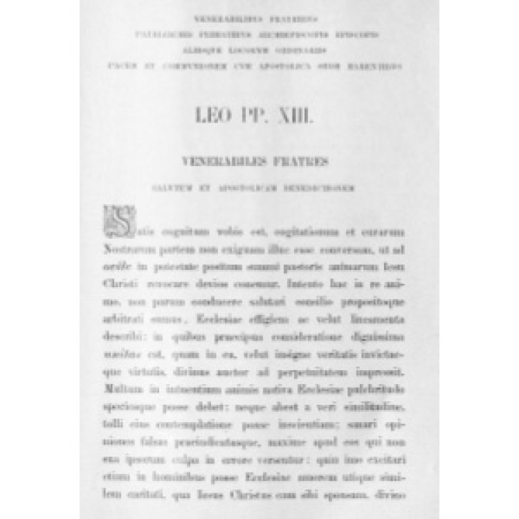 Leon XIII - Unitatem 1896 [La]