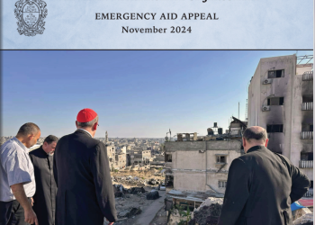 Informe sobre ayudas de emergencia - Noviembre 2024