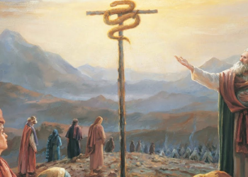 Meditation De S.B. Le Cardinal Pizzaballa:  Fête de l'Exaltation de la Croix