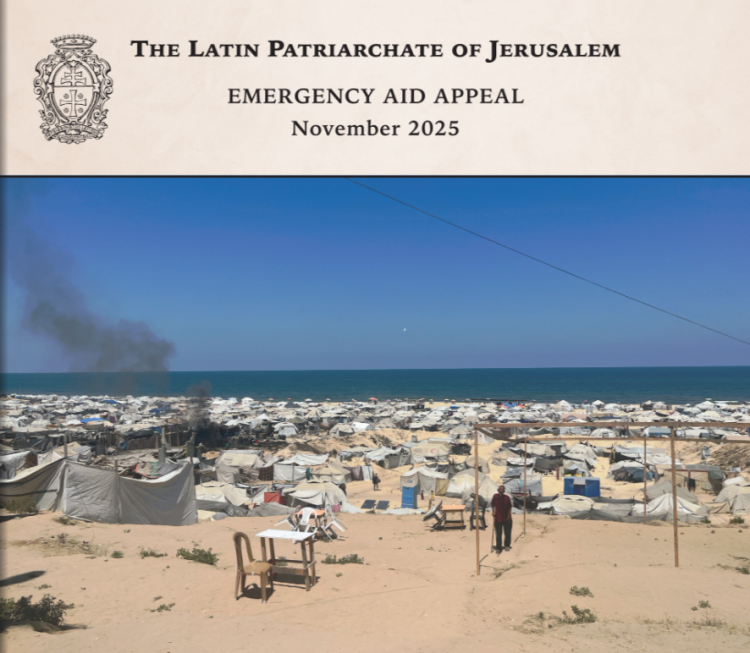 تقرير النداء العام - تشرين الثاني 2025