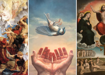 Meditation of Card. Pizzaballa: XII Sunday of Ordinary Time, Year A